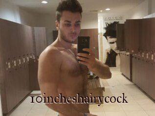 10incheshairycock