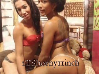 2TShorny11inch