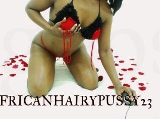 AFRICANHAIRYPUSSY23
