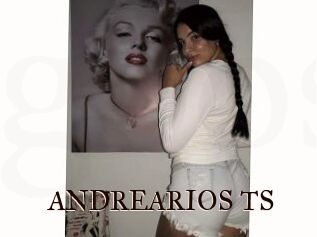 ANDREARIOS_TS