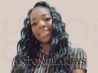 ANTONELAKEYS