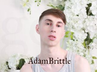 AdamBrittle