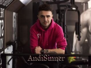 AndiSinner