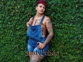 AndyPulido