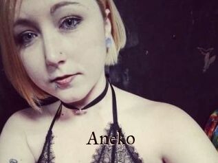 Aneko