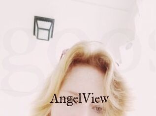 AngelView