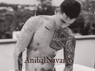 AnibalNavarro