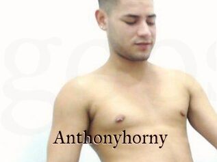 Anthonyhorny
