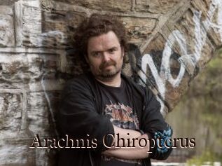 Arachnis_Chiropterus
