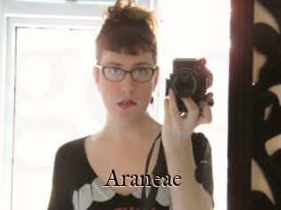 Araneae