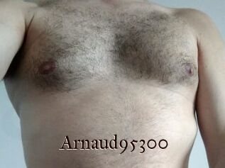 Arnaud95300