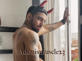 Adonismuscle23