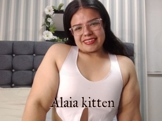 Alaia_kitten