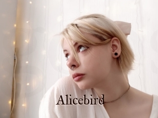 Alicebird