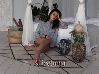Alicebunt