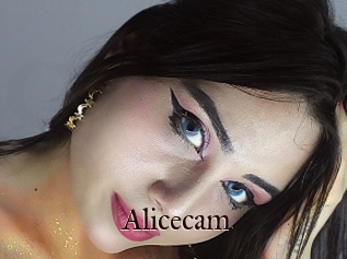 Alicecam