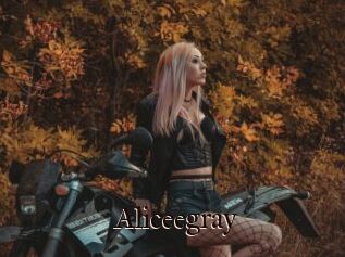 Aliceegray