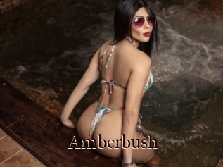 Amberbush