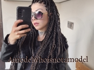 Amodelwhoisnotamodel