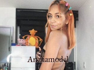 Analiamodel