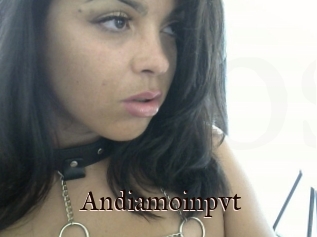 Andiamoinpvt