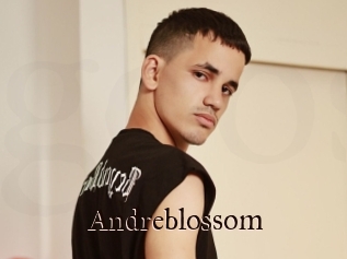 Andreblossom