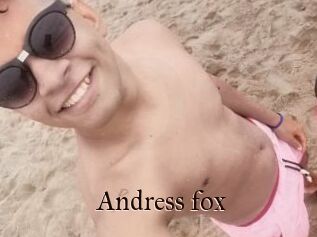Andress_fox