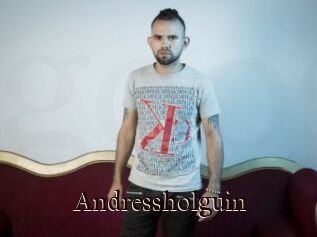 Andressholguin