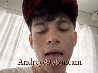 Andreyestebancam