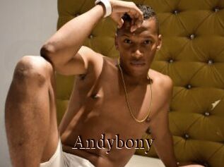Andybony