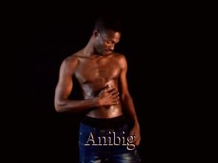 Anibig
