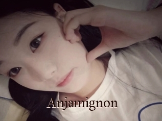Anjamignon