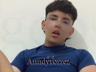 Anndytorrez