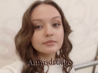 Annisdrudge