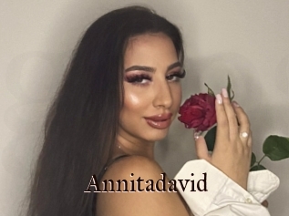 Annitadavid