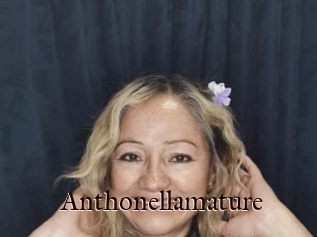 Anthonellamature
