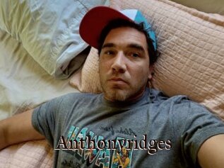 Anthonyridges