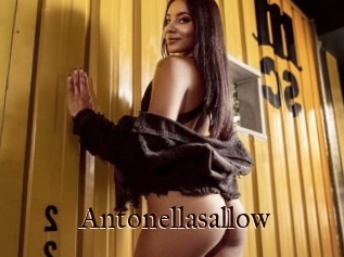 Antonellasallow