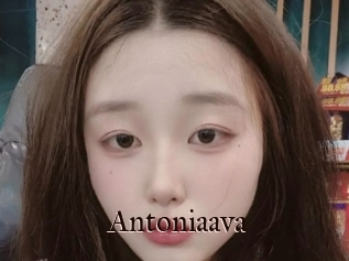 Antoniaava