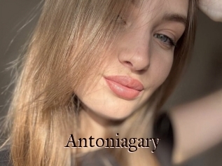 Antoniagary