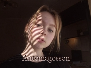 Antoniagosson