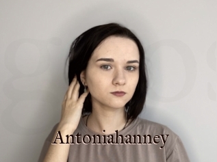 Antoniahanney