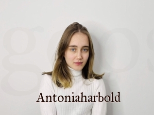 Antoniaharbold