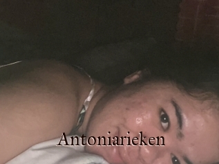 Antoniarieken