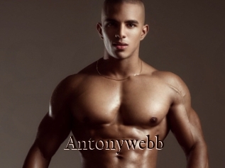 Antonywebb