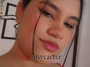 Anycarter