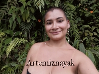 Artemiznayak