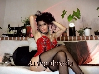 Ary_ambrosia