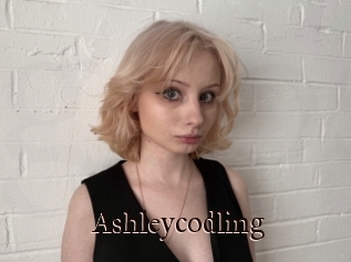 Ashleycodling
