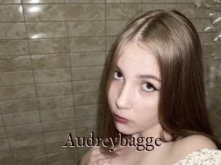 Audreybagge